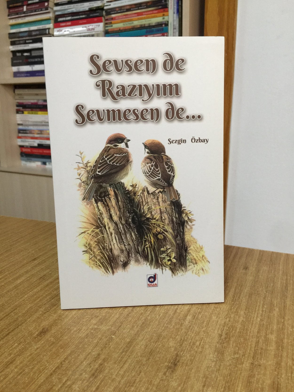 Sevsen de Razıyım Sevmesen de - Sezgin Özbay