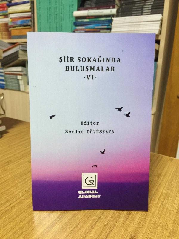 Şiir Sokağında Buluşmalar VI - Editör: Serdar Dövüşkaya
