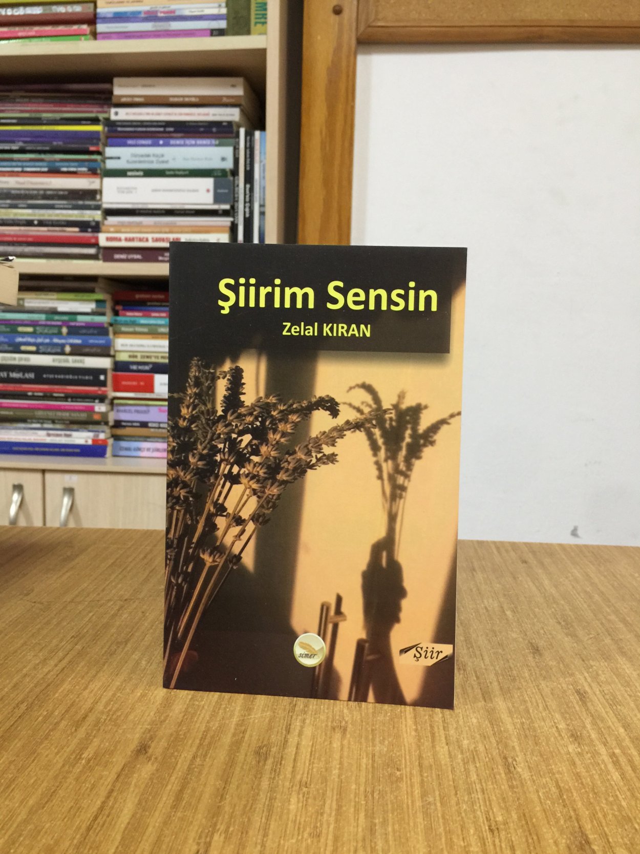 Şiirim Sensin - Zelal Kıran
