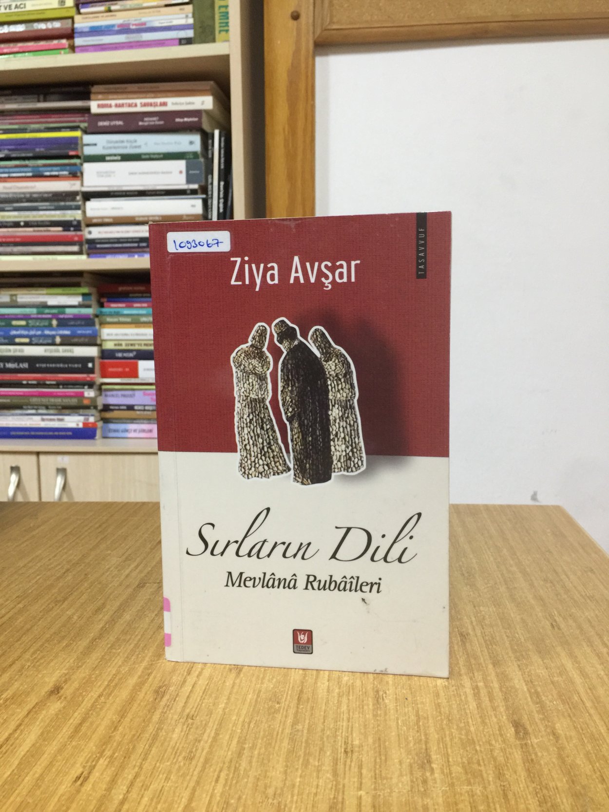 Sırların Dili Mevlana Rubaileri - Ziya Avşar //