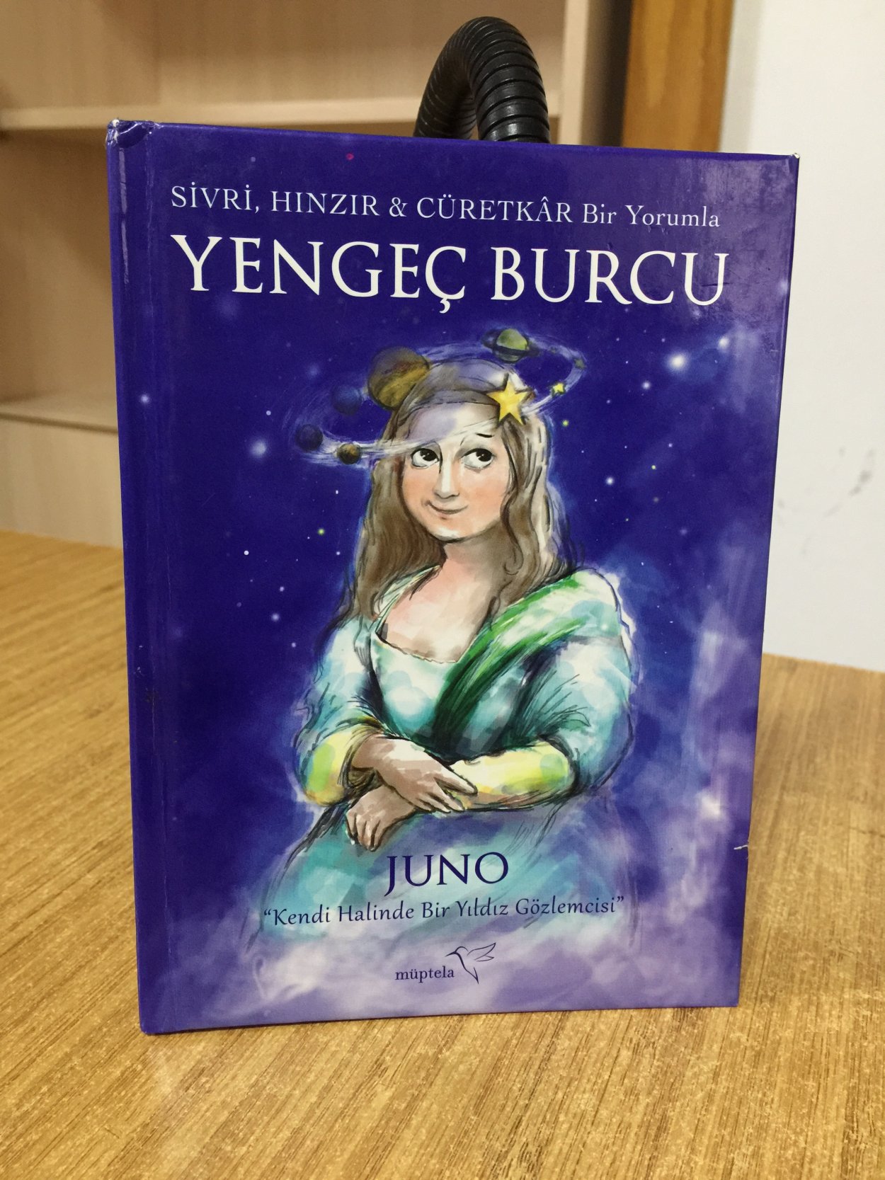 Sivri Hınzır Cüretkar Bir Yorumla YENGEÇ BURCU - Juno [Ciltli]