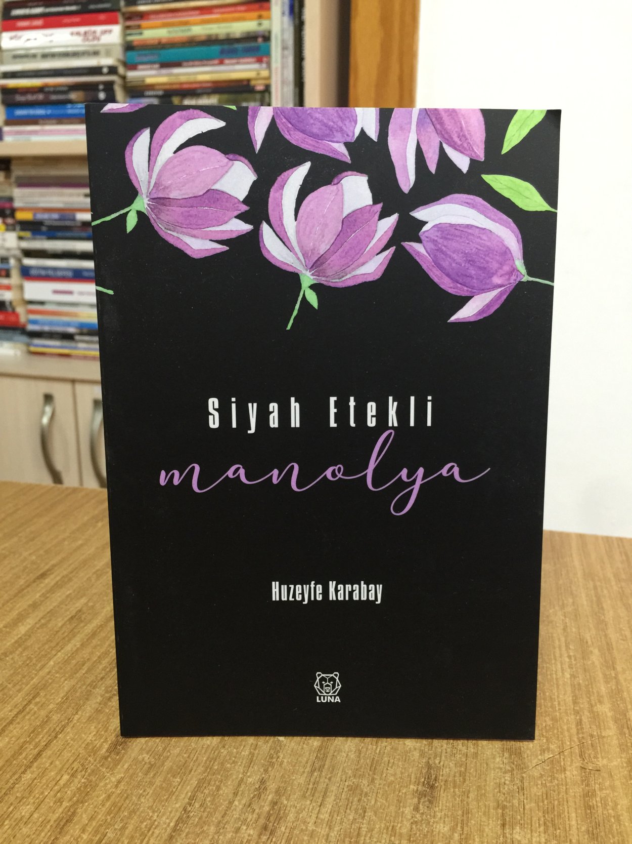 Siyah Etekli Manolya - Huzeyfe Karabay