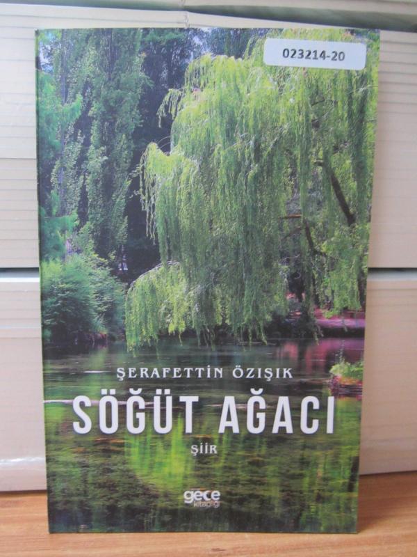 Söğüt Ağacı