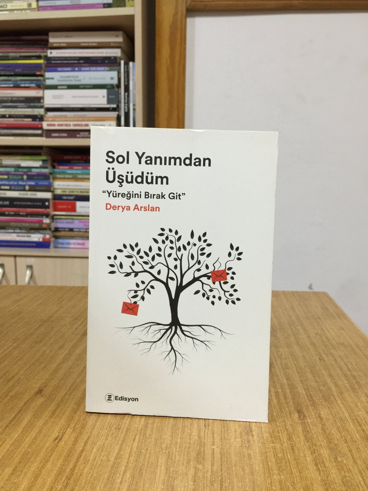 Sol Yanımdan Üşüdüm Yüreğini Bırak Git - Derya Arslan