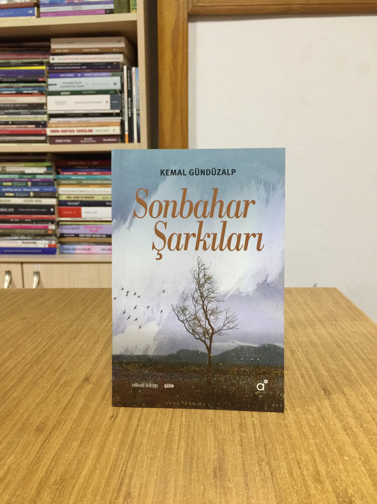 Sonbahar Şarkıları - Kemal Gündüzalp