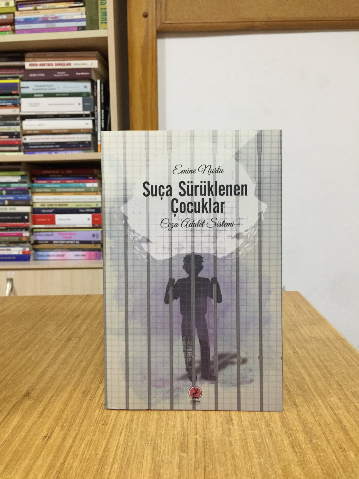 Suça Sürüklenen Çocuklar Ceza Adalet Sistemi - Emine Nurlu