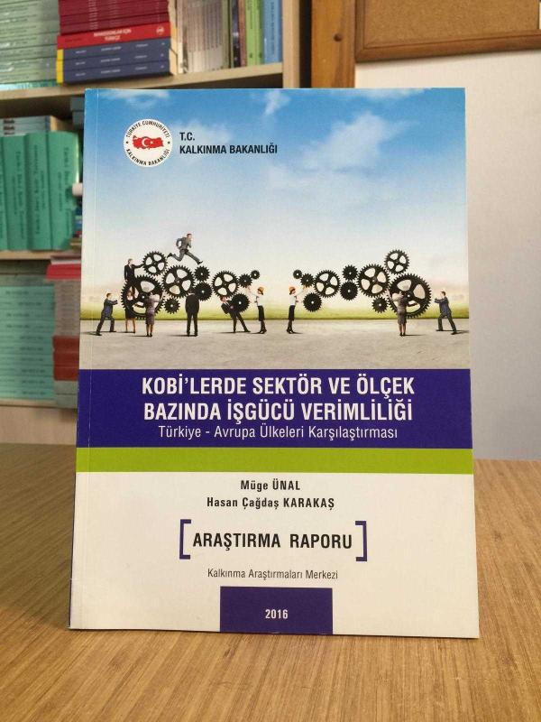 T.C. Kalkınma Bakanlığı KOBİ'lerde Sektör ve Ölçek Bazında İşgücü Verimliliği Türkiye - Avrupa Ülkeleri Karşılaştırılması 2016