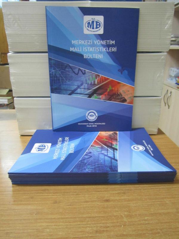 T.C. Maliye Bakanlığı Muhasebat Genel Müdürlüğü - Merkezi Yönetim Mali İstatistikleri Bülteni - 2018 YILI 10 FARKLI SAYI (Sayılar Açıklamada)