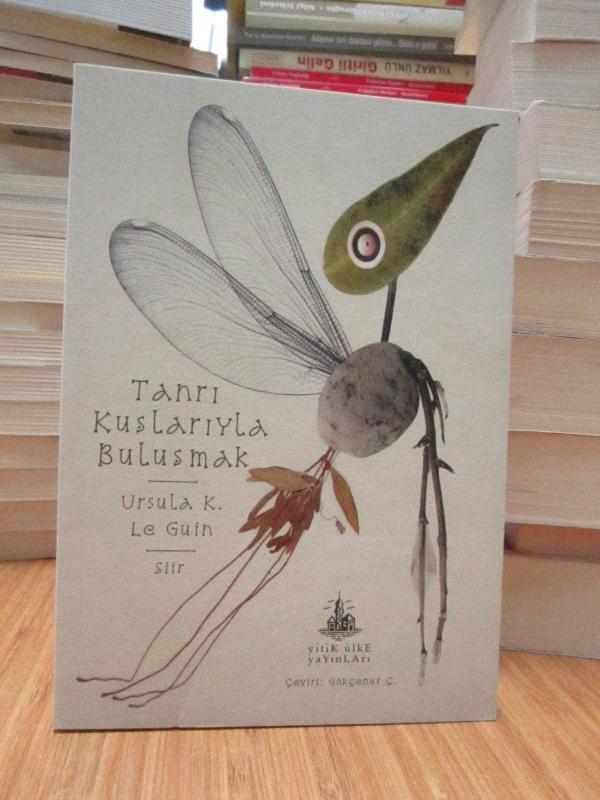 Tanrı Kuşlarıyla Buluşmak