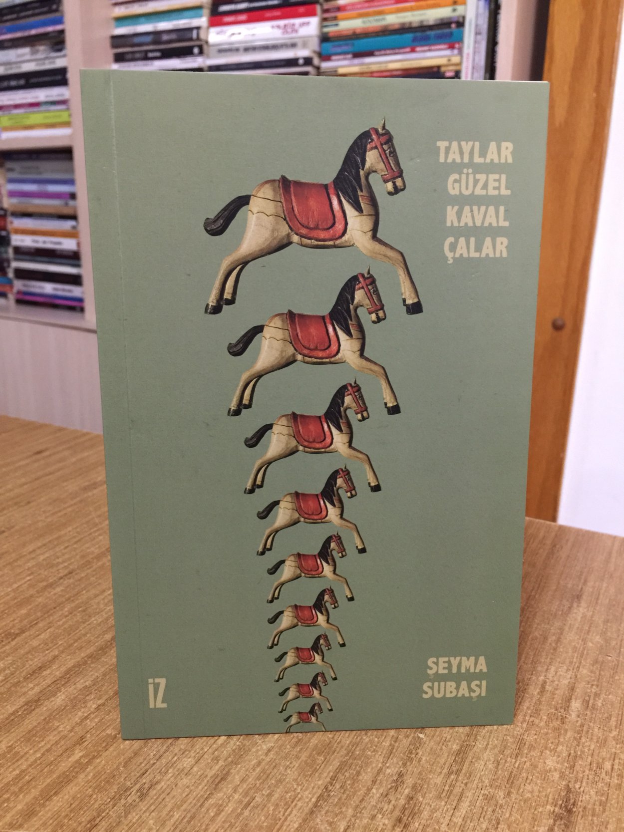 Taylar Güzel Kaval Çalar - Şeyma Subaşı