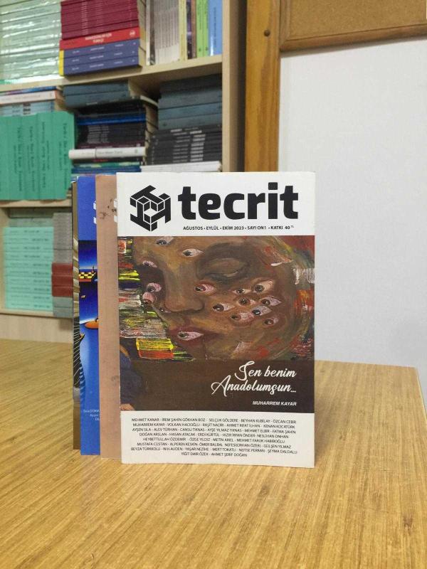 TECRİT Edebiyat Dergisi - 2023-2024 Yılları 4 Sayı TAKIM (Sayılar: 11-12-13-14)