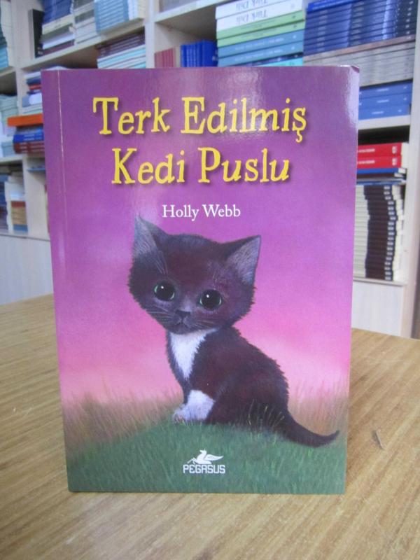 Terk Edilmiş Kedi Puslu - Holly Webb