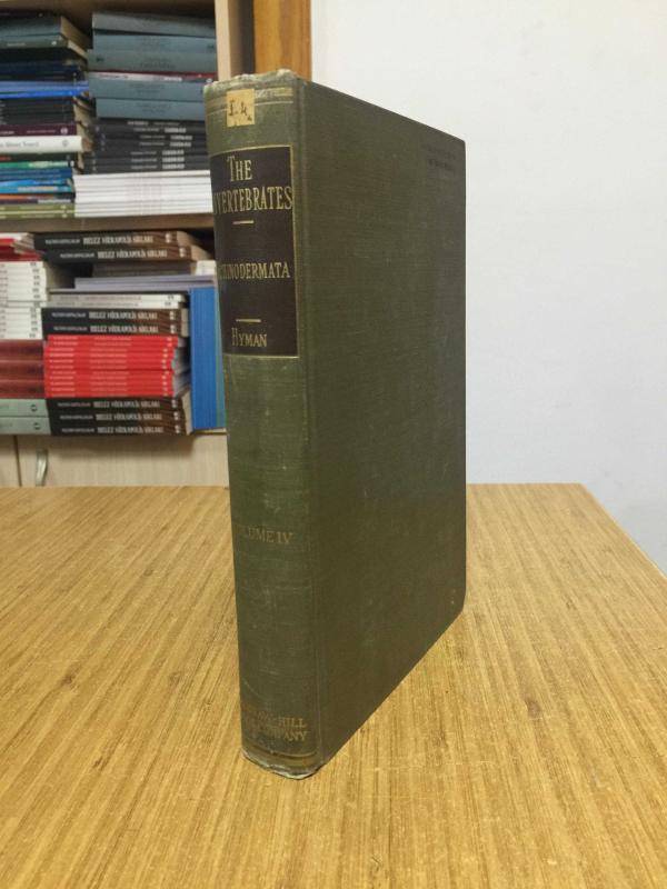 The Invertebrates VOLUME IV by Libbie Henrietta Hyman - Echinodermata The Coelomate Bilateria