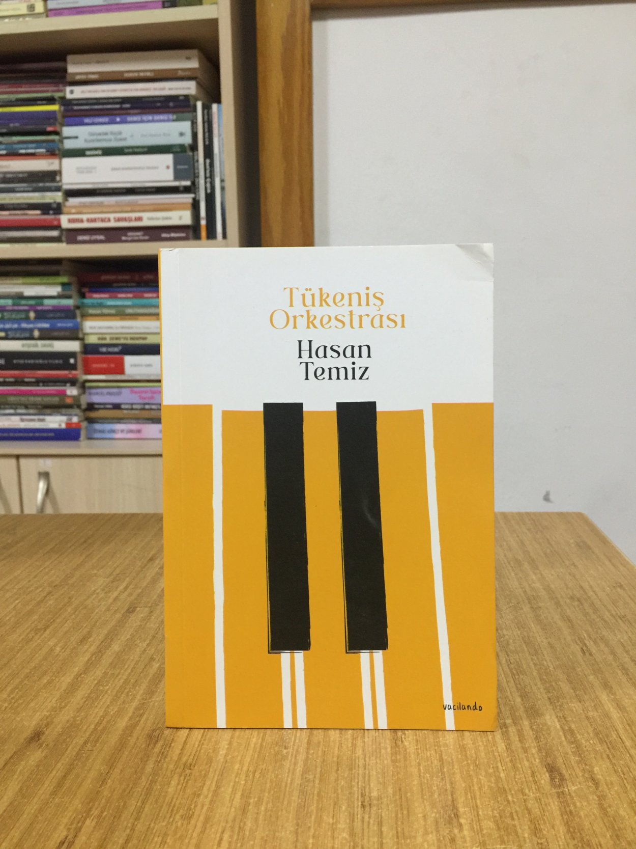 Tükeniş Orkestrası - Hasan Temiz