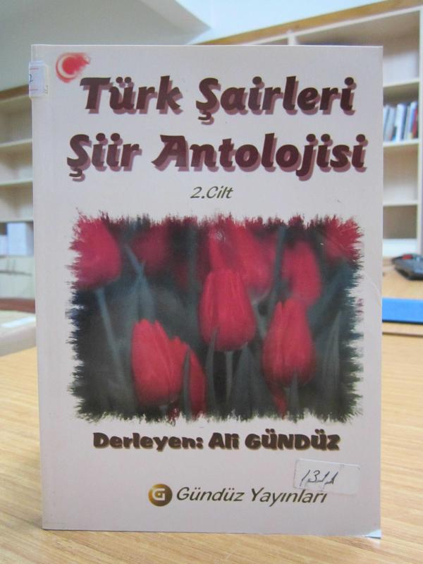 Türk Şairleri Şiir Antolojisi 2.Cilt - Ali Gündüz