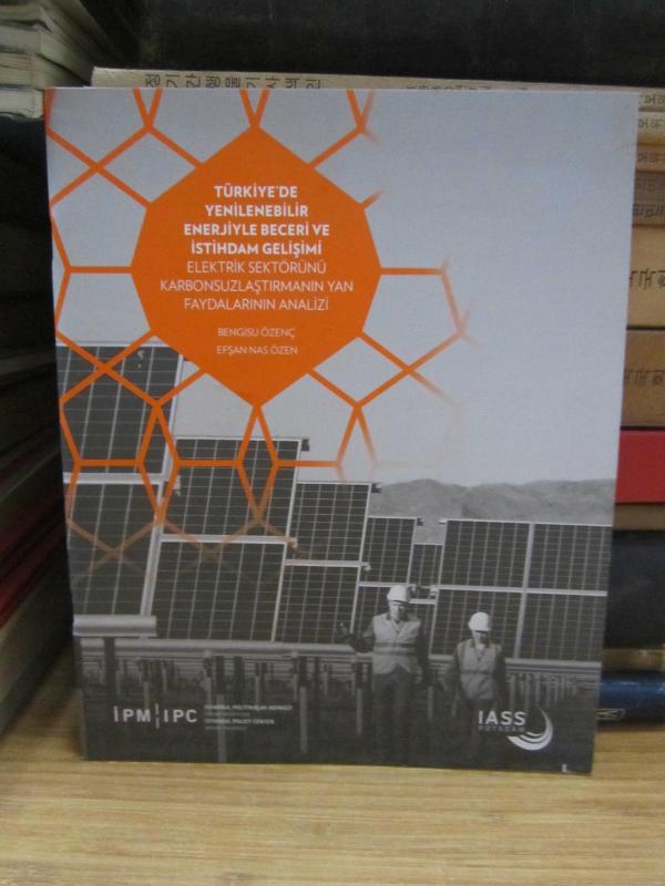 Türkiye'de Yenilenebilir Enerjiyle Beceri ve İstihdam Gelişimi - Elektrik Sektörünü Karbonsuzlaştırmanın Yan Faydalarının Analizi