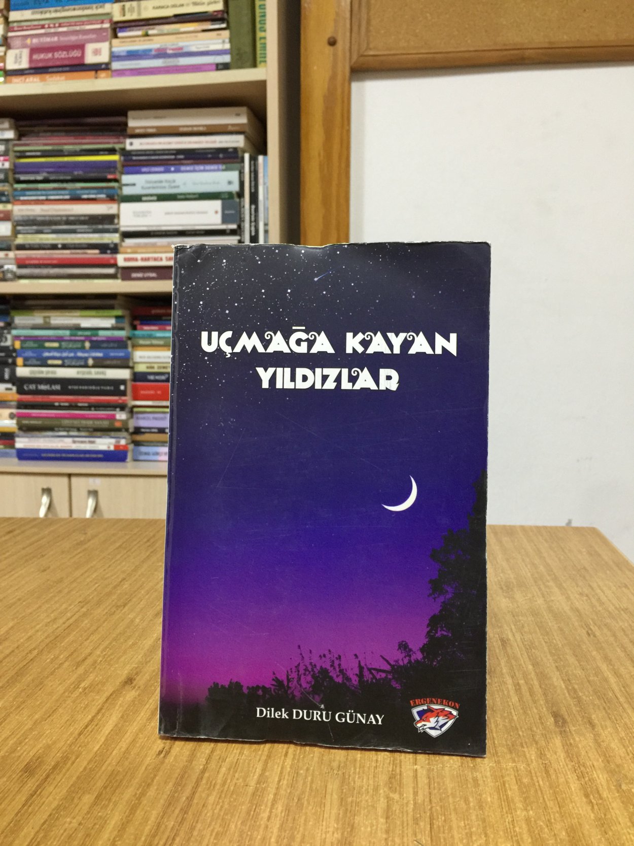 Uçmağa Kayan Yıldızlar - Dilek Duru Günay