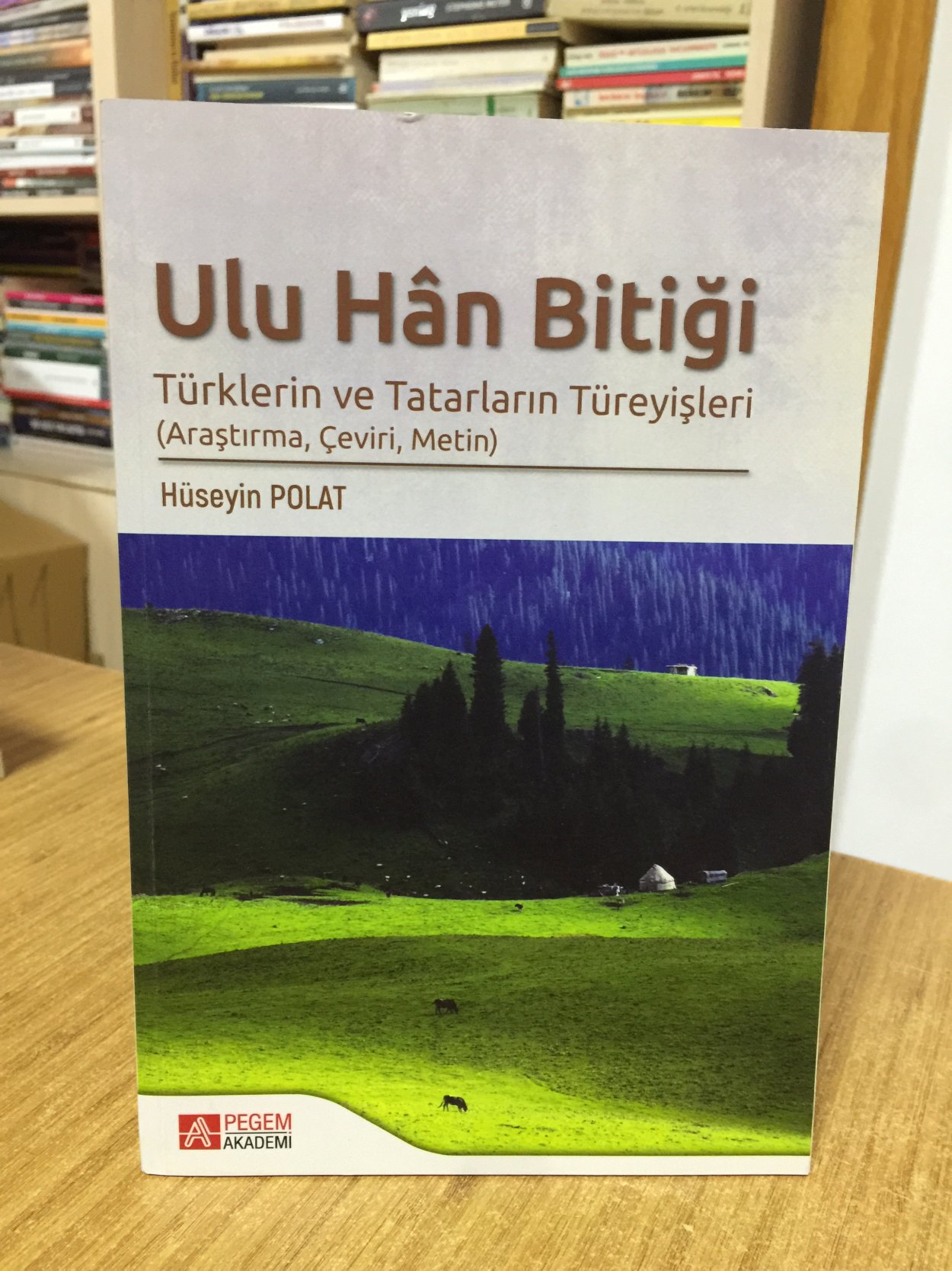 Ulu Han Bitiği Türklerin ve Tatarların Türeyişleri (Araştırma, Çeviri, Metin)