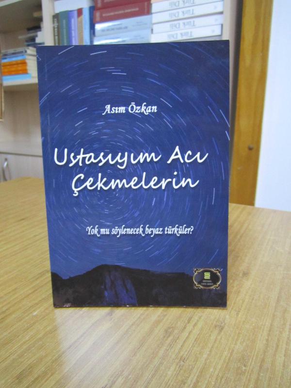 Ustasıyım Acı Çekmelerin - Asım Özkan