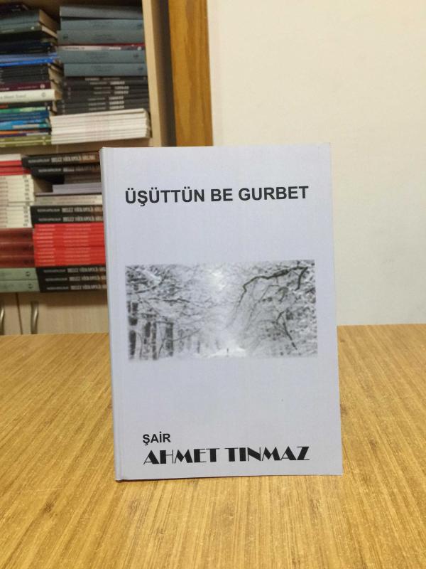 Üşüttün Be Gurbet - Ahmet Tınmaz