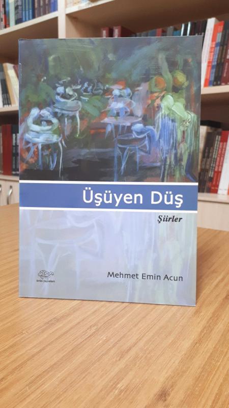 Üşüyen Düş