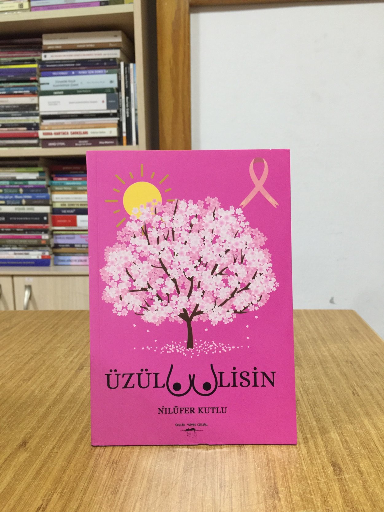 Üzül Meme Lisin - Nilüfer Kutlu