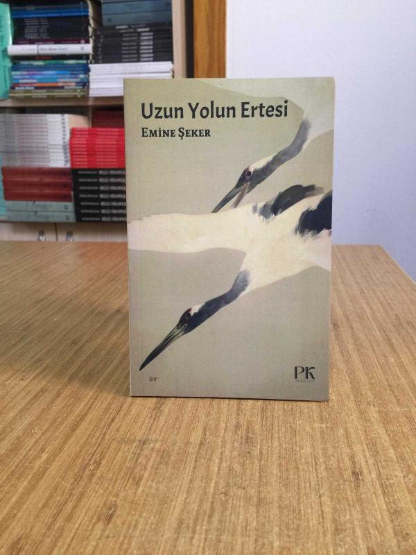Uzun Yolun Ertesi - Emine Şeker