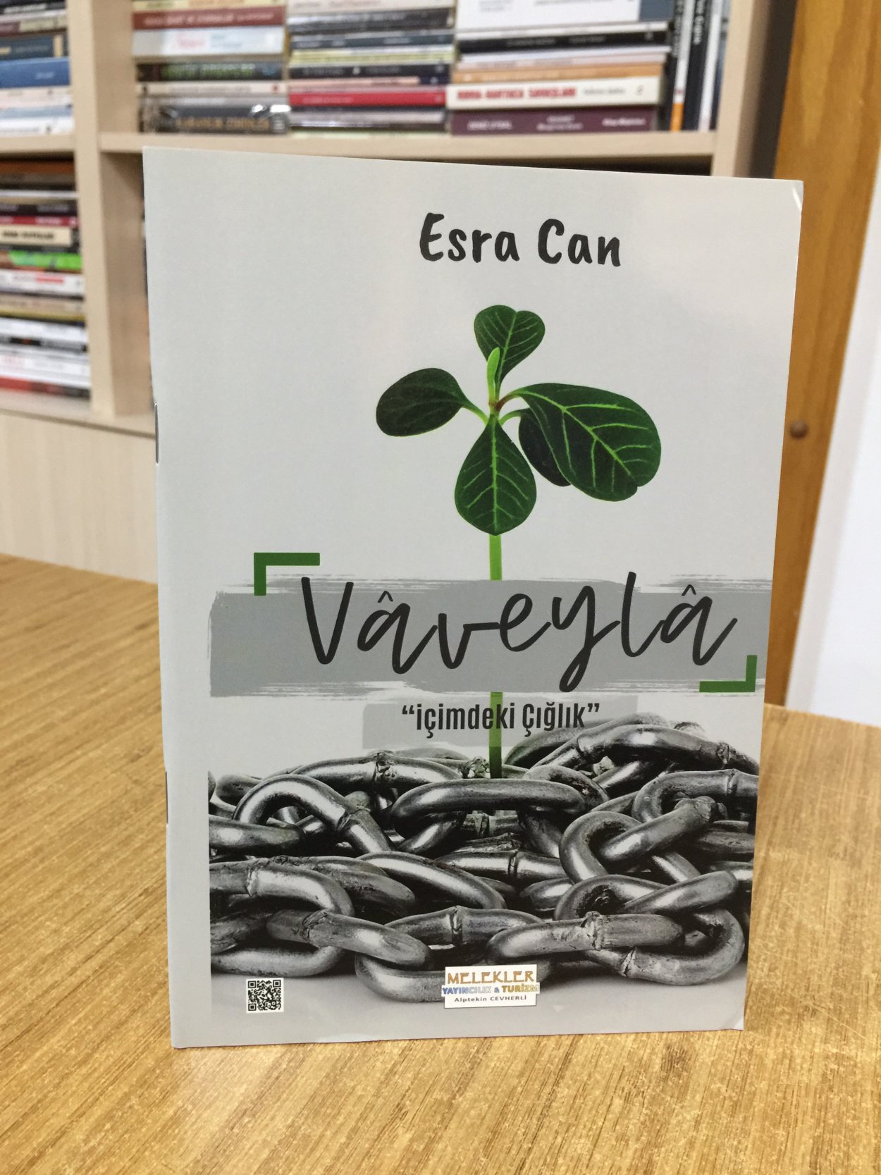 Vaveyla İçimdeki Çığlık - Esra Can
