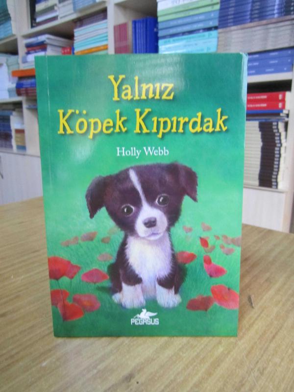 Yalnız Köpek Kıpırdak - Holly Webb