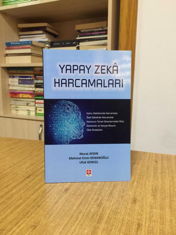 Yapay Zeka Harcamaları