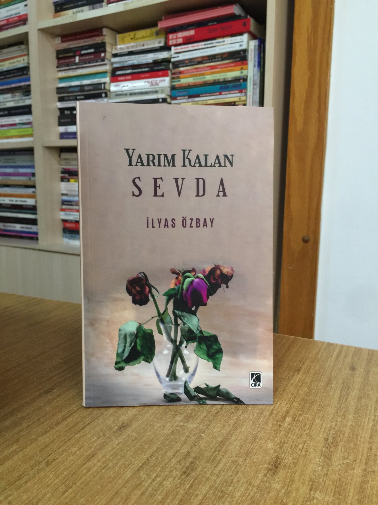 Yarım Kalan Sevda - İlyas Özbay