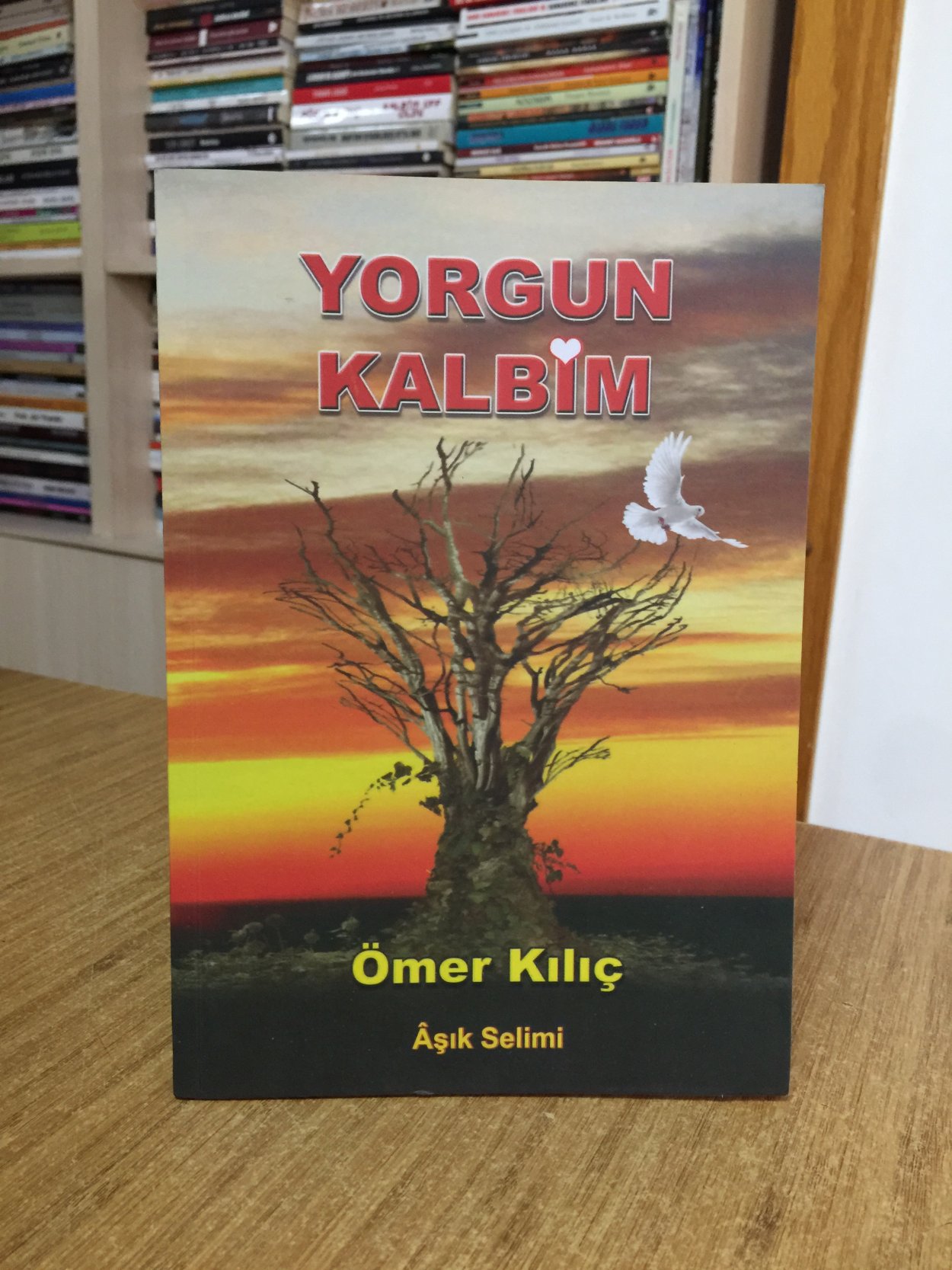 Yorgun Kalbim - Ömer Kılıç (Aşık Selimi)