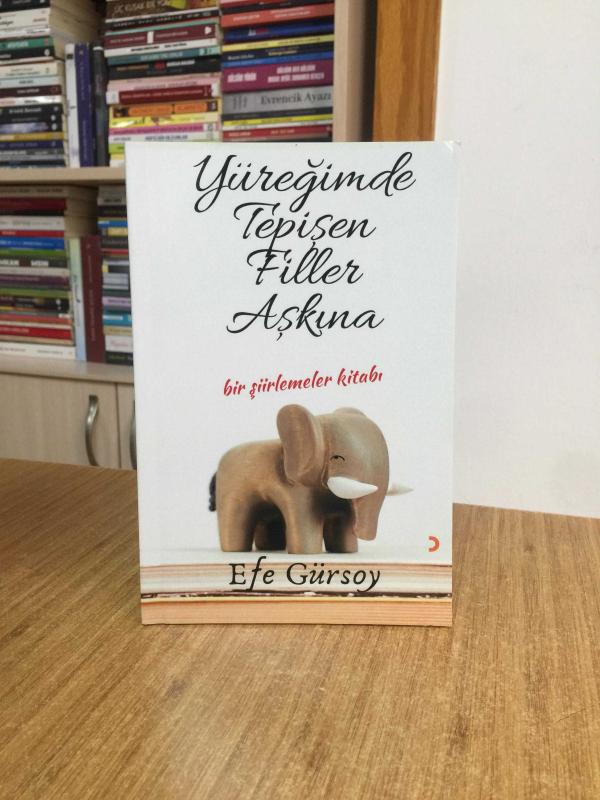Yüreğimde Tepişen Filler Aşkına - Efe Gürsoy