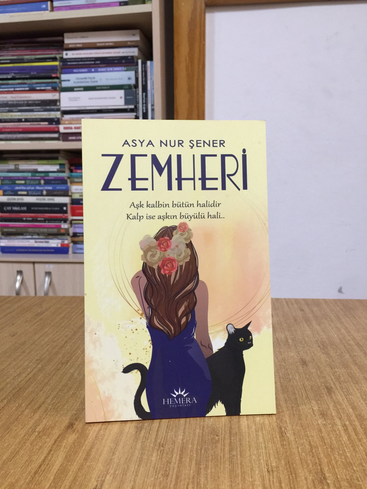 Zemheri - Asya Nur Şener