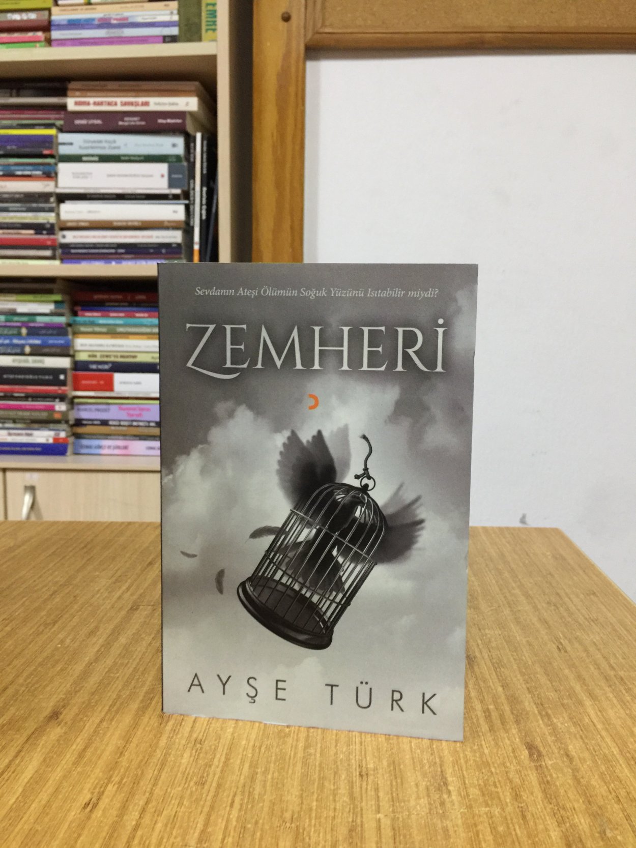 Zemheri - Ayşe Türk