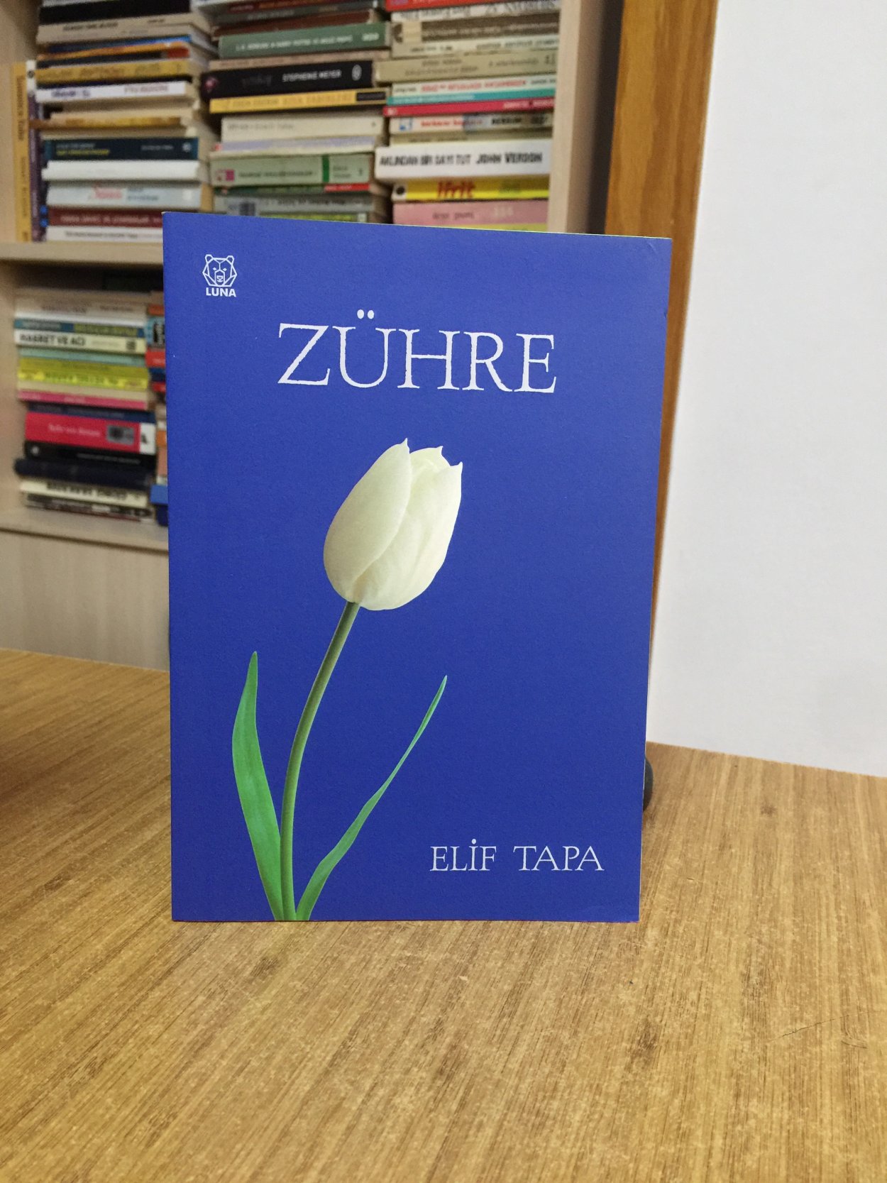 Zühre - Elif Tapa